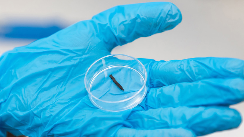 Закручиваются в спираль: российские учёные создали эластичных роботов для лечения тромбоза